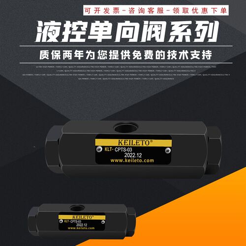 原厂现货 液压管式 引导逆止阀 管式液控单向阀 CPTS-03 油缸自锁