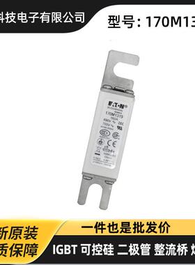 170M7084 170M7085 170M7086 170M7090原厂陶瓷熔断器 保险丝