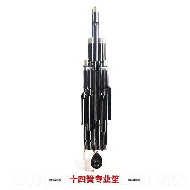 高档新17簧艺14簧扩笙音乐器大全笙方笙修笙工具竽乐器笙包圆初学