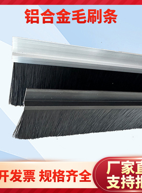 hF型铝合金条刷密封防尘毛刷工业用防静电毛刷条机械尼龙刷门条刷