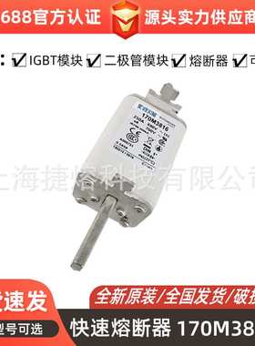 170M3816 170M3816D 170M3817 电子元器件 快速熔断器 现货直发
