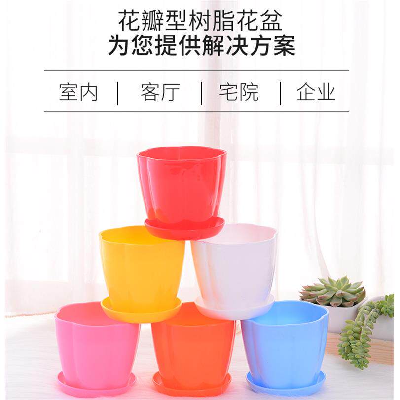 厂家大量供应糖果色塑料花盆加厚花瓣圆形树脂绿植多肉盆栽花盆