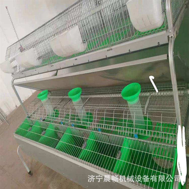 带料槽多层鸡笼鸭笼 热镀锌自动喂养欧式兔笼户外养殖大棚配套