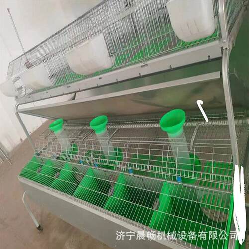 带料槽多层鸡笼鸭笼 热镀锌自动喂养欧式兔笼户外养殖大棚配套