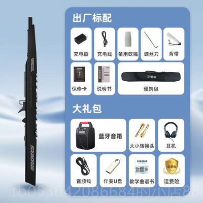 正品盛瑞Sr600电吹管2023国产新型数字乐电动葫芦丝动笛电动初学