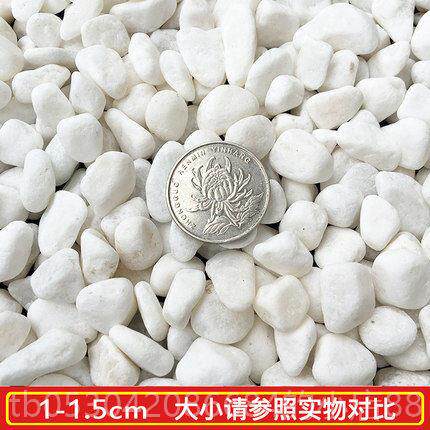 正品新观型松中国风模拟松树大型迎宾室内摆件景绿装饰假树化植物