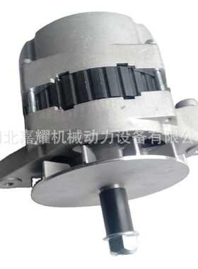 重庆康明斯K19/K38发动机配件发电机4913675/4319409/4060811