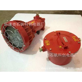 矿用隔爆型投光灯 矿用175W投光灯 127B DGS175