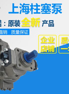 HY10/16/25/32/40/63/80/100/107/125/160/250P-RP(LP)轴向柱塞泵