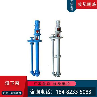 尘FYS/HYF型氟塑BKM液下泵 耐酸碱除化工泵塑料化工泵脱硫料塔循