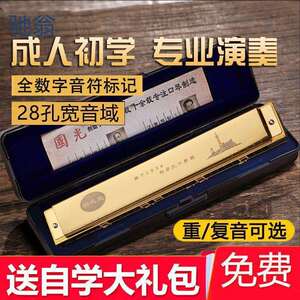 znM上海国光吹奏乐器成人复音口琴28孔C调专业演奏进口音簧初学者