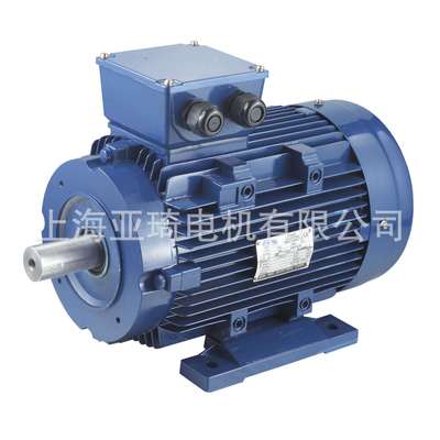 3-PHASE INDUCTION MOTOR 三相异步铝壳电动机 微型电动机