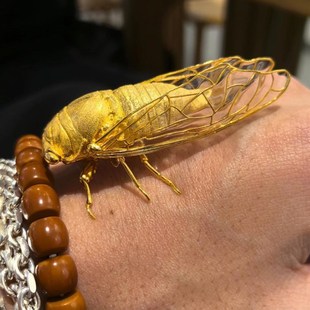 知了蜕变成金蝉轻奢重工金蝉摆件复古小巧设计趣味潮玩个性摆饰