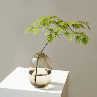 高级感玻璃花瓶吊钟水培马醉木水养雪柳鲜花插花客厅摆件落地装饰