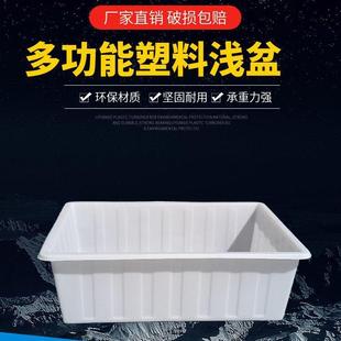 卖箱塑料箱牛鱼浅盆养殖储水桶牛筋长方形养筋产929加厚养鱼水龟