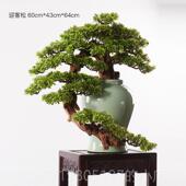 高档新中式 饰 彷真迎松罗盆办公室绿植客厅酒店玄关汉松景客落地装