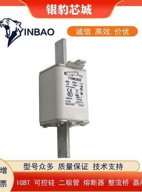 170M2673/170M2674/170M2675/170M2676/170M2677巴斯曼熔断器
