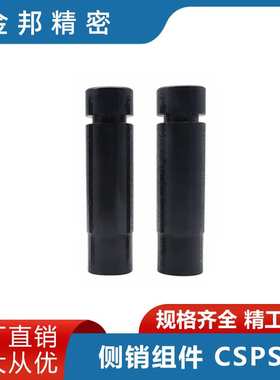 模具专用冲压配件 45号钢发黑 单槽型侧销组件CSPST 侧销弹簧卡板