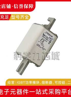 170M4108 170M4109 170M4110 170M4111 170M4112 170M4113熔断器