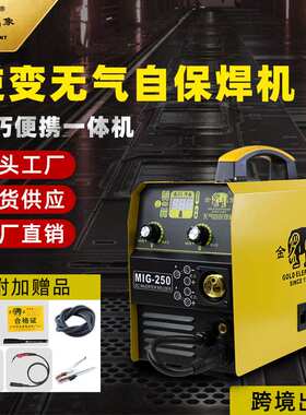 二保焊焊机工业手持式金象电焊机便携式MIG-250电焊机家用两用