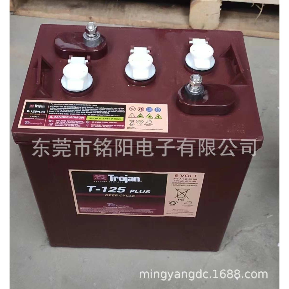 进口邱健蓄电池T-105T-125T-145T-875T-1275 6V240AH升降车L16P
