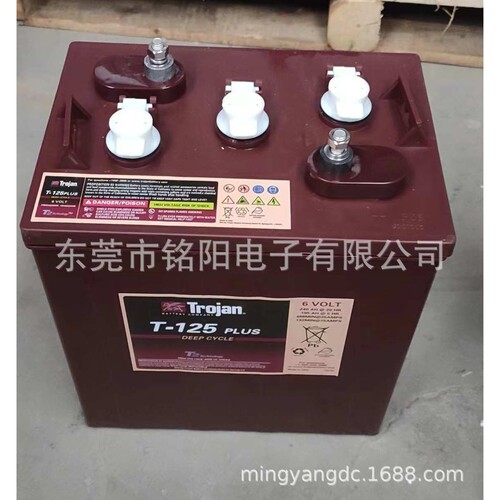进口邱健蓄电池T-105T-125T-145T-875T-1275 6V240AH升降车L16P