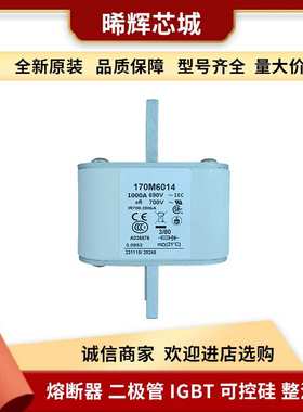 170M6014 170M6013伊顿巴斯曼熔断器量大从优直流快速熔断器现货