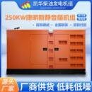 250KW康明斯静音箱机组发电机组柴油发电机组变频电源足功率备用