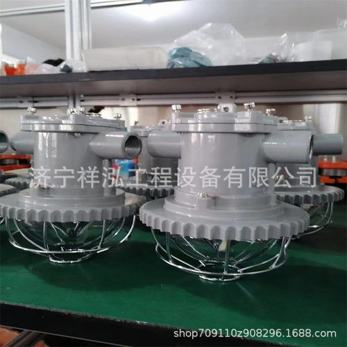 矿用隔爆型LED机车灯DGY24/24L 矿用隔爆LED机车照明灯DGY18/127L