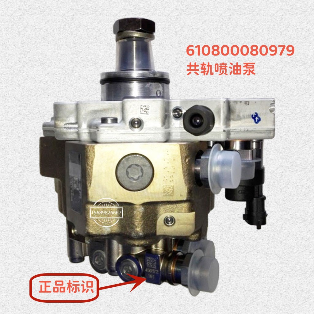 潍柴原厂共轨喷油泵610800080979