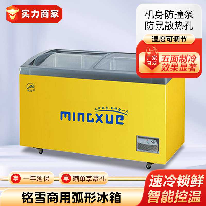 铭雪商用冰箱弧形玻璃移门冰柜雪糕冰激淋柜海鲜展示柜超市冷柜