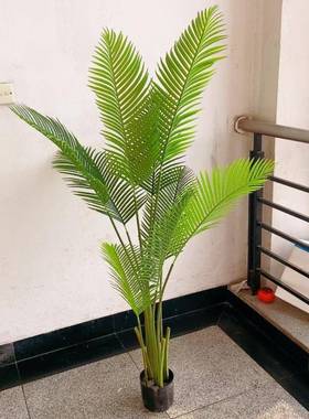 工厂仿真盆栽贵妃葵葵散89123尾葵店美针造景装饰丽植物树绿色园