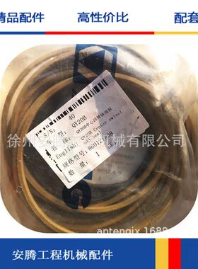 QY20BQY25B中心回转体油封860121808
