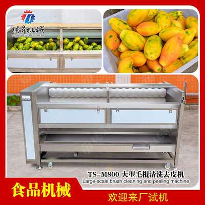 多型号土豆设备大型毛棍清洗去皮机生姜清洗磨皮机规格可定