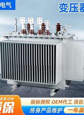 变压器生产厂家S13-M-315KVA铜油浸式变压器电力干式高压变压器