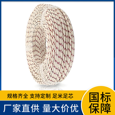 FVNFVI2.5/4平方地感线尼龙护套