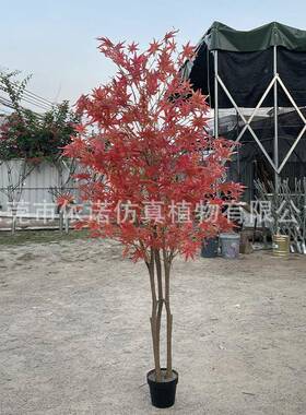 仿真枫鸡树真室内外爪枫假树盆栽树仿绿植yn240116造景装饰摄影假