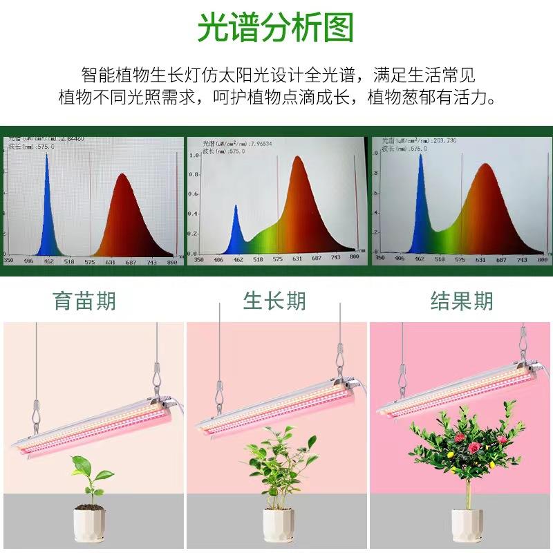 全光谱育苗le室d物生长灯管QVY内T5多肉专用3w补光灯照明1米2植0