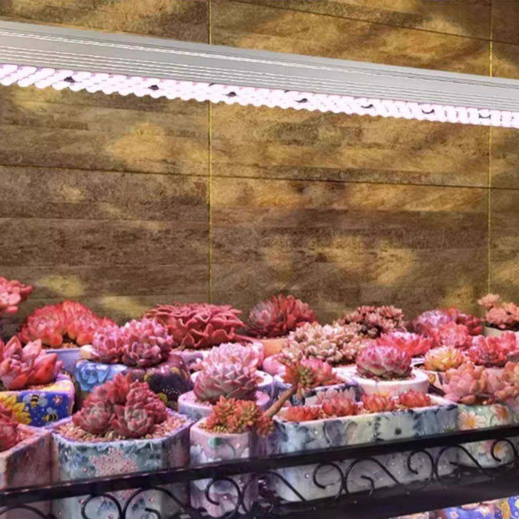 世卉纪之芯多肉植补光灯家用上色防徒长全谱室内花绿光专WCR用生,家装灯饰光源,植物生长灯,淘宝优惠券,粉丝福利购,淘宝优惠卷