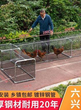家用ABJ铁网跑养鸡道笼子农场户外溜达道笼鸡子庭院隧农加厚