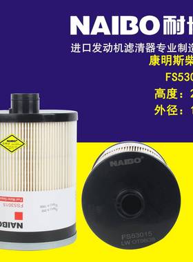 FS53015 柴油滤芯