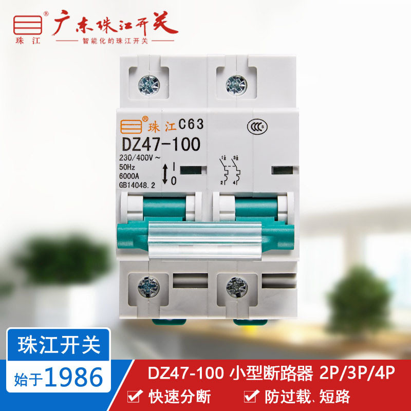 珠江开关 DZ47 80~100A 小型断路器 家用工业用 空气开关 总开关