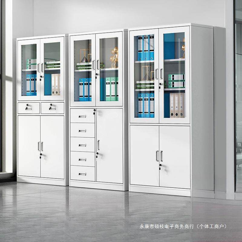 铁皮文件柜办公资料案档柜钢制现简约柜家DNT用更代锁衣储物柜带