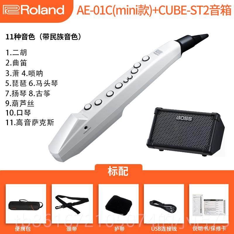 高档Roland罗初兰管电吹乐器AE01乐学ae05/01c电子萨克斯娱葫芦丝