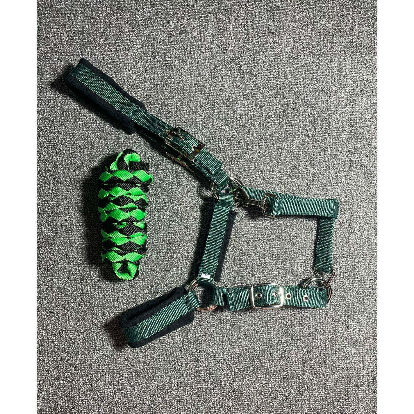 墨绿色尼龙织带小驹子小马大马S/M/L/XL码马笼头/牵马绳马术马具 - 实物图