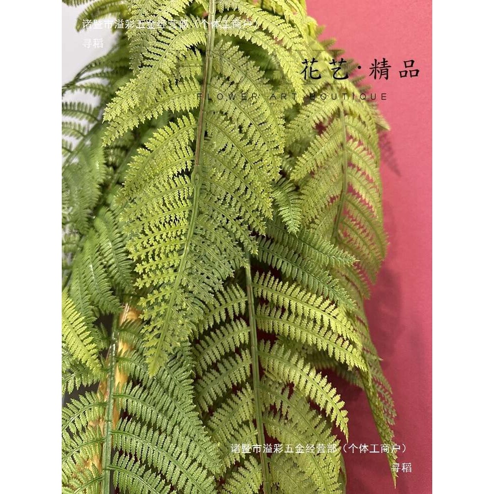 热带雨林大蕨叶植物造景垂直绿化壁挂吊兰屋顶悬挂园林装饰