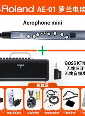 高档Rolan罗兰电吹管电子萨克斯AE-01CAdE- 05管C老年人初学乐民