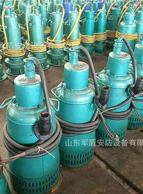 现货供应防爆潜水泵bqs泥浆水泵660v1140v矿用隔爆型潜水排沙泵
