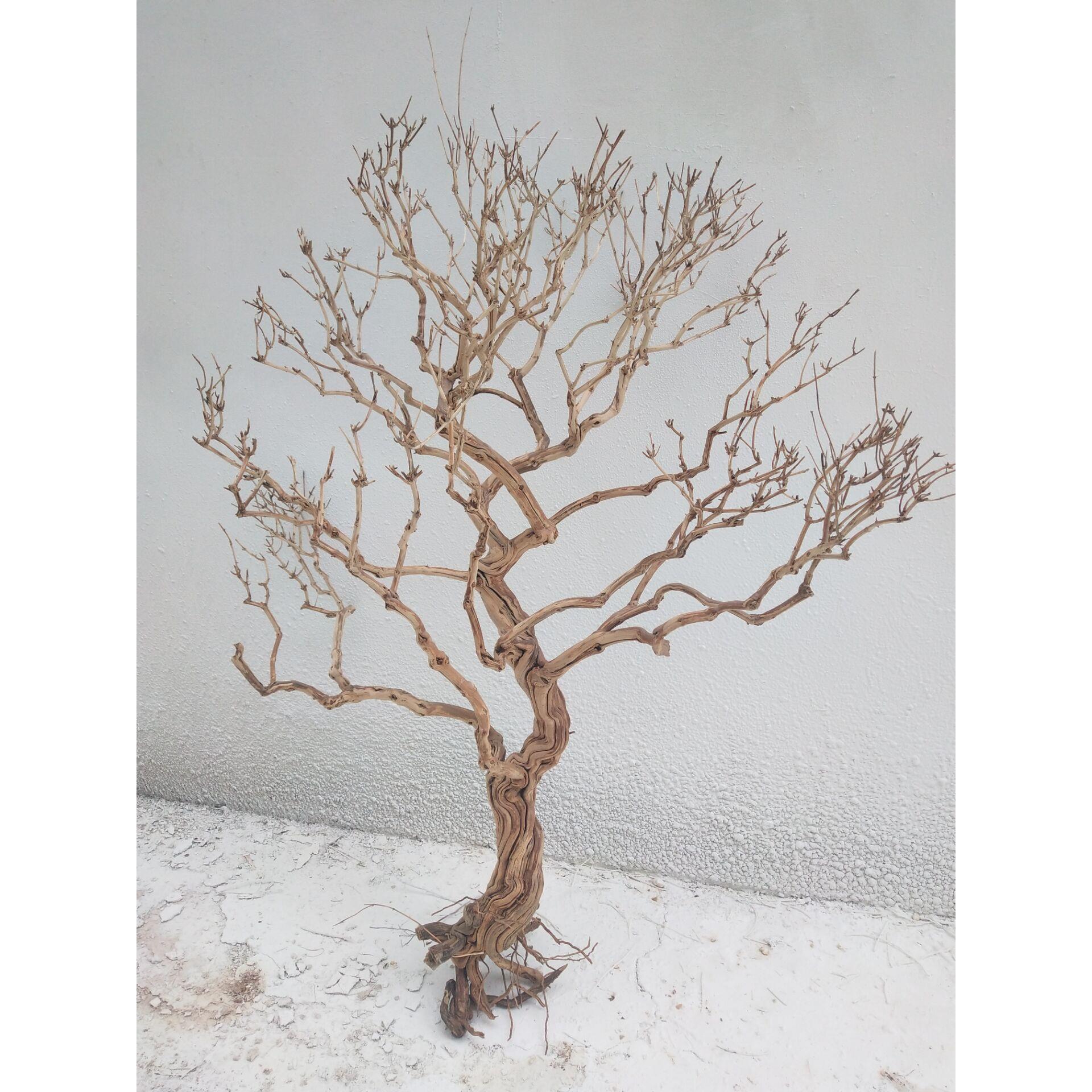 白色干枯树枝干枝许愿树枯树干霸王根造型树假树仿真树枝装饰树