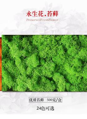 永生花花材 礼盒制作材料 保鲜花仿真花 永生苔藓墙体装饰